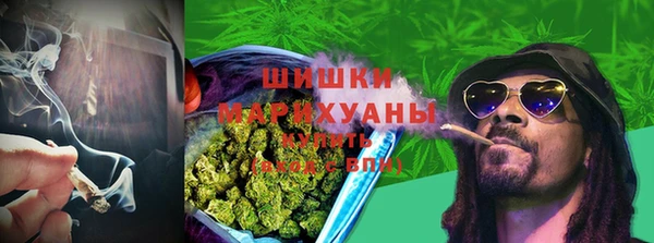 гидропоника Верхний Тагил